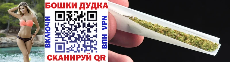 Конопля сатива где продают Черкесск